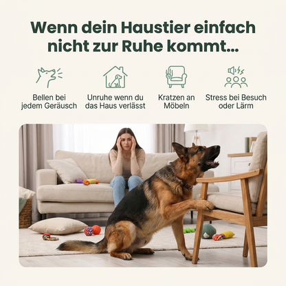 Loumilo PetCalm™ für Hunde - Loumilo